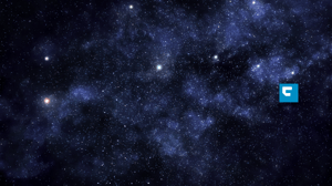 Was Copilot wirklich kann  Copilot Hands-on Workshop für C-Level